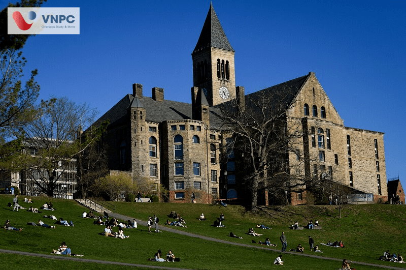 Cornell University 